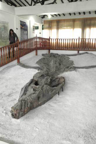 The kronosaurus skeleton on display near Villa de Leyva is one of the most complete in the world.