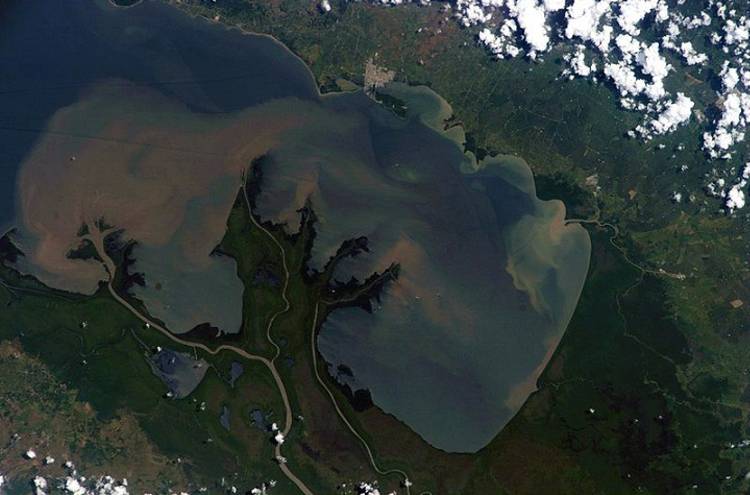 Gulf of Urabá and Atrato River in Colombia, photographed from the International Space Station. Image courtesy of the Image Science & Analysis Laboratory, NASA Johnson Space Center