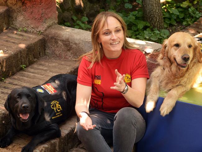 Cecilia Marré, director of Fundación Bocalán Confiar in Chile, which provides the dogs for the program: “With the courthouse dogs we have been able to counteract the negative emotions that are caused by testifying in court – such as fear, anxiety or shame.” (Gustavo Ortiz for Infosurhoy.com)