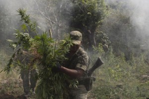 Mexico Drug War Cartel Country